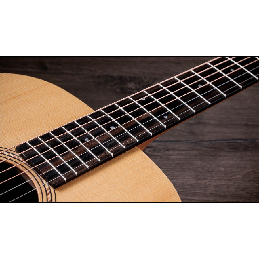 TAYLOR ACADEMY 12E WALNUT/SPRUCE - immagine 6