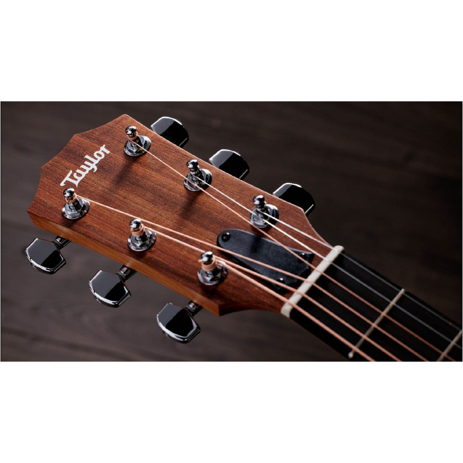 TAYLOR ACADEMY 12E WALNUT/SPRUCE - immagine 7