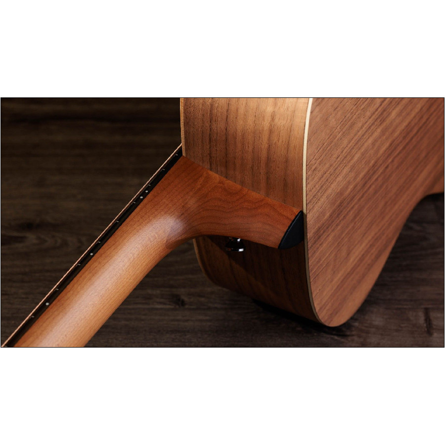TAYLOR ACADEMY 12E WALNUT/SPRUCE - immagine 8