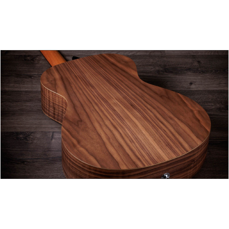 TAYLOR ACADEMY 12E N WALNUT/SPRUCE - immagine 11