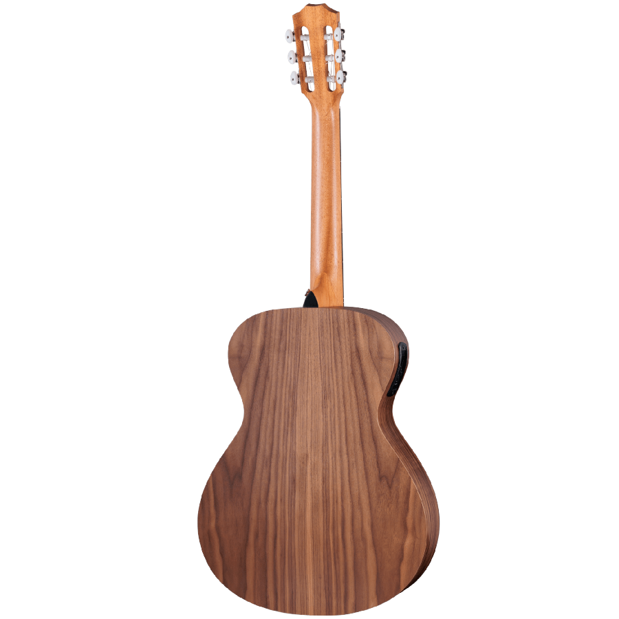 TAYLOR ACADEMY 12E WALNUT/SPRUCE - immagine 3