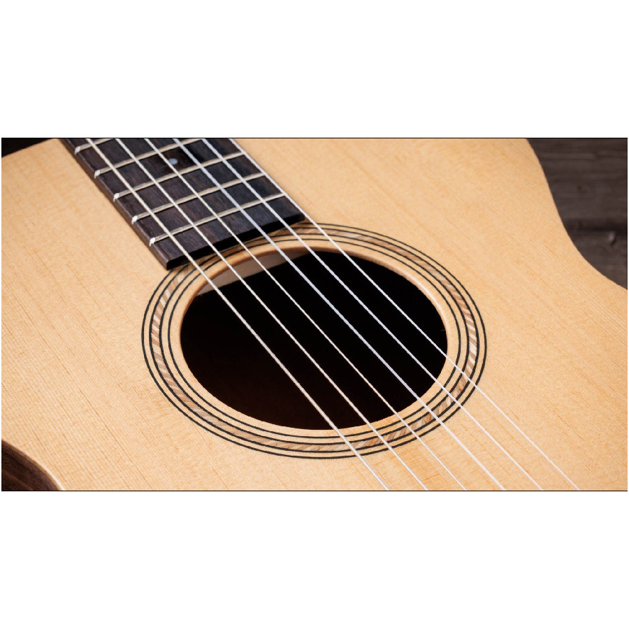 TAYLOR ACADEMY 12E N WALNUT/SPRUCE - immagine 7