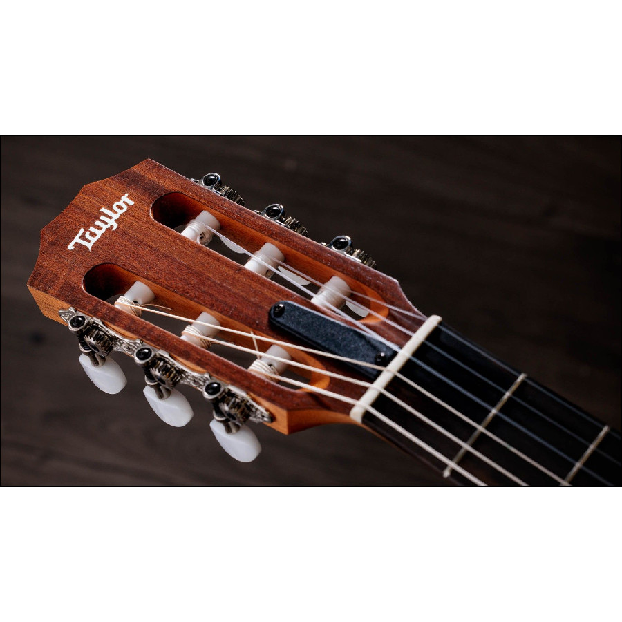 TAYLOR ACADEMY 12E N WALNUT/SPRUCE - immagine 9