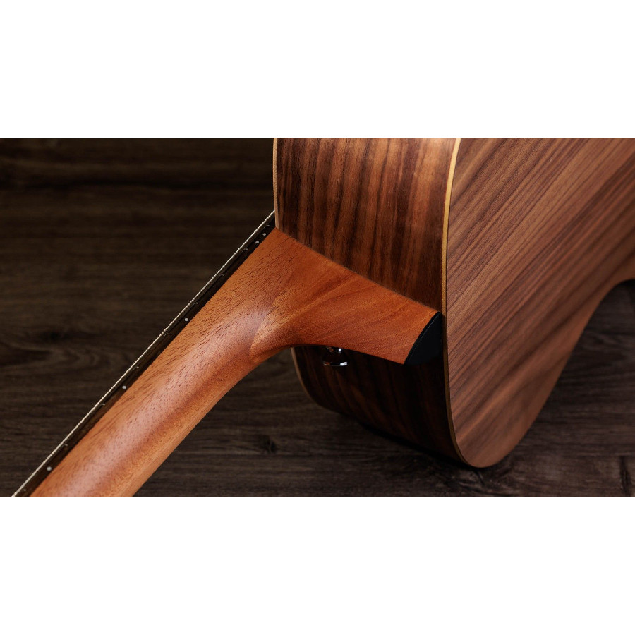 TAYLOR ACADEMY 12E N WALNUT/SPRUCE - immagine 10