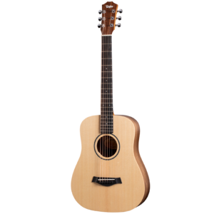 TAYLOR BT1E