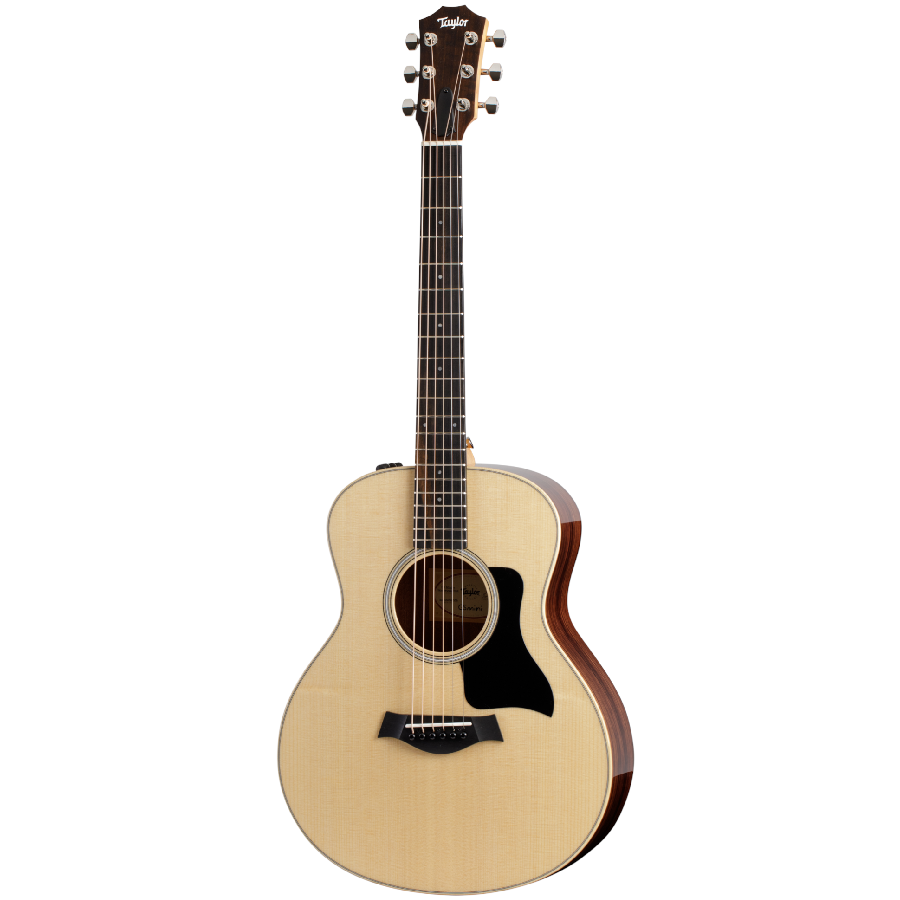 TAYLOR GS MINI E ROSEWOOD PLUS