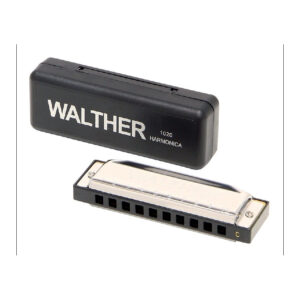 WALTHER RICHTER DO 20 VOCI