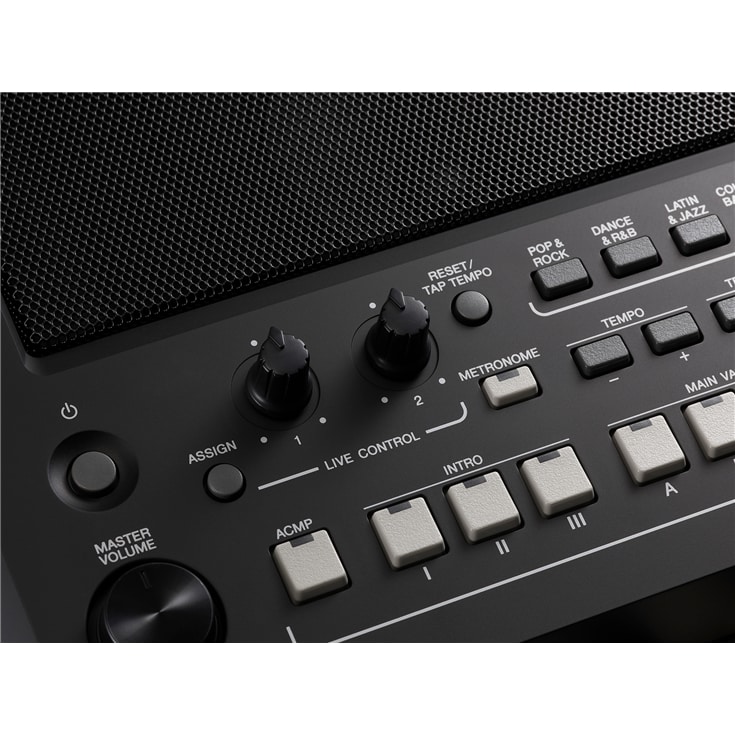 YAMAHA PSRSX600 - immagine 3