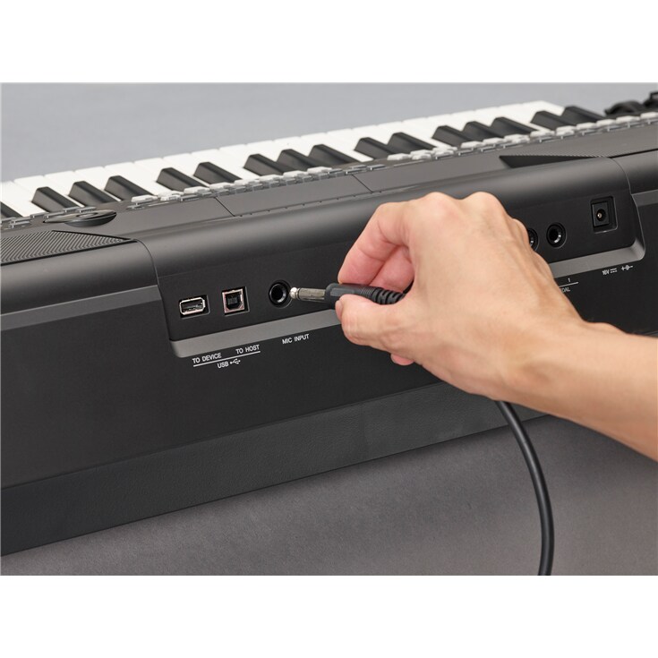 YAMAHA PSRSX600 - immagine 4