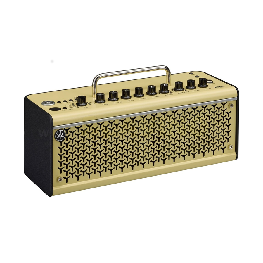 YAMAHA THR10II