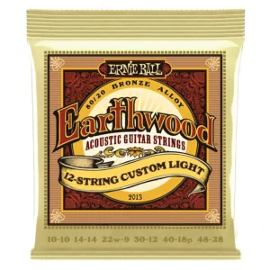 ERNIE BALL 2013 PER CHITARRA 12 CORDE